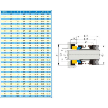 Tömítés 100mm tengelyre, szilícium/szilícium felület, Viton gumi, AISI 304 rugó